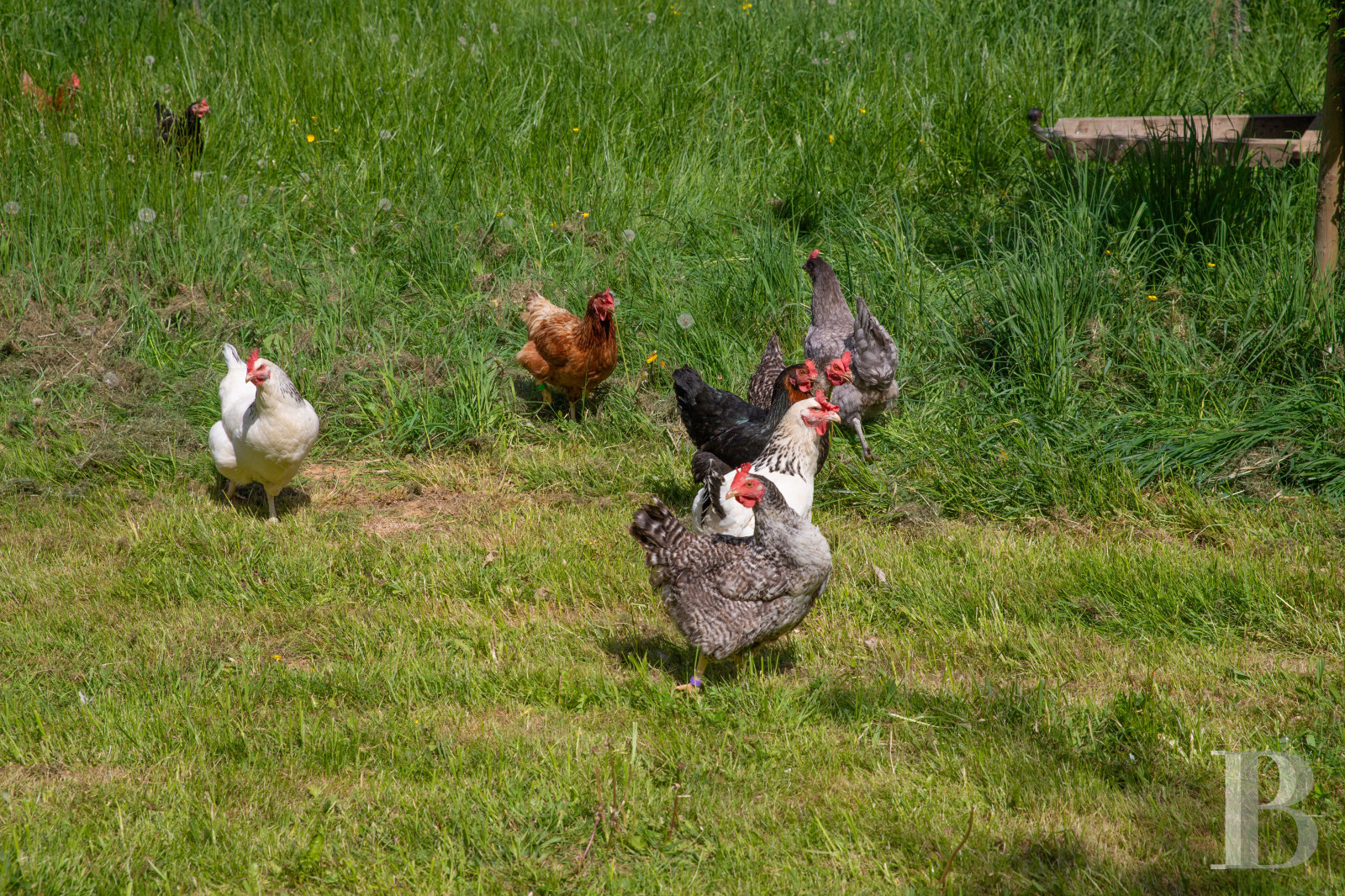 A completely renovated former mill halfway between Mantes-la-Jolie and Dreux in the Eure-et-Loire department - photo  n°39